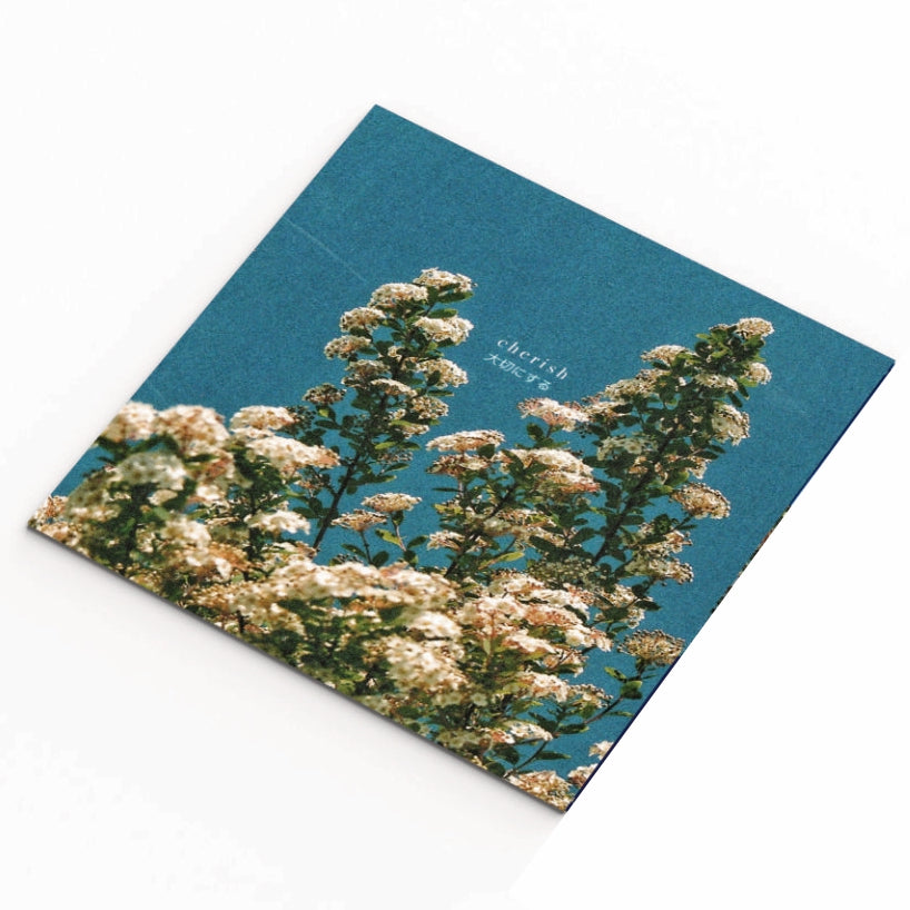 Cherish EP (Vinyl)